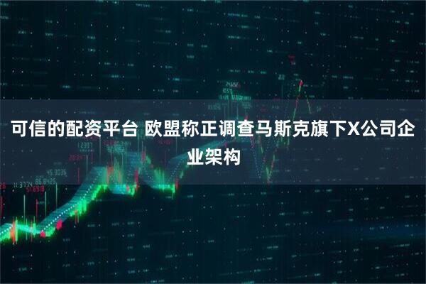 可信的配资平台 欧盟称正调查马斯克旗下X公司企业架构