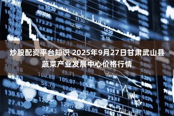 炒股配资平台知识 2025年9月27日甘肃武山县蔬菜产业发展中心价格行情